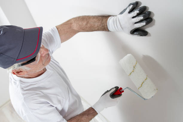 Best Drywall Sanding and Smoothing  in Lake Goodwin, WA